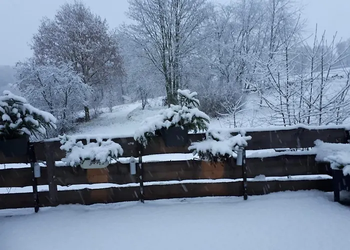 Sonnenaufgang Apartment *